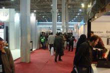 دهن کجی الکامپ، آغوش مسئولان را باز کرد 