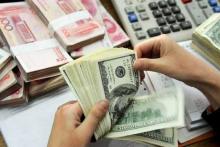 با شرایط تخصیص ارزIT شاهد تعطیلی استارتاپ‌ها و شرکت‌های بزرگ حوزه خواهیم بود