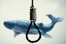 پیشنهاد یک خبرنگار درباره‌ی عنوان "نهنگ آبی"