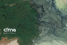 ماهواره شرکت ایرباس