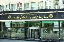 جزئیات هوشمندسازی در سازمان مالیاتی اعلام شد