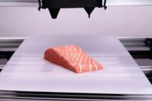 فروش نخستین ماهی تولید شده با چاپگر سه‌بعدی در فروشگاه‌های اتریش