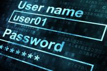 نوجوان 15 ساله، عامل هک 1000 کاربر درگاه اینترنتی 