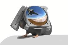 درک شیوه تفکر جوندگان با استفاده از عینک‌ واقعیت مجازی