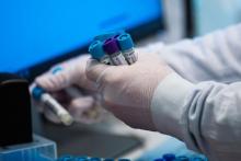  دانشمندان ایمنی‌شناسی: واکسن کرونا در مقابل همه انواع ویروس، ایمنی ایجاد می‌کند