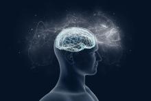 با هشت وجه اشتراک افراد با بهره هوشی بالا آشنا شوید