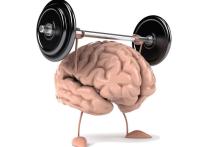 ۵ تکنیک ساده برای تقویت حافظه 