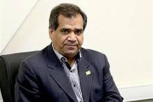 تجربه ادغام ۲ شرکت بورسی مانند مخابرات و همراه اول وجود نداشته است