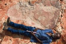 کشف محل زندگی بزرگ‌ترین دایناسورهای تاریخ