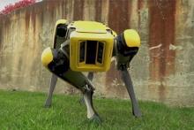 ربات چهار پا که به اندازه سگ‌های واقعی توانمند است