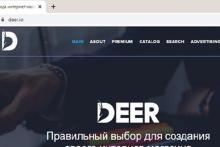 پلیس فدرال آمریکا گرداننده پلاتفورم جنایت سایبری را دستگیر کرد