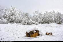  احتمال تعطیلی تهران در روز یکشنبه ۲۵ دی 