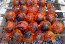 گوجه فرنگی را کباب نکنید!