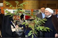 ۱۰۰ هزار شغل با حمایت از شرکت‌های دانش‌بنیان در کشور ایجاد شد