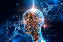 افزایش حمایت از شرکت‌های خلاق حوزه علوم شناختی 