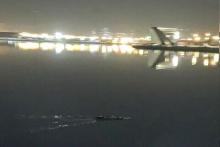 تمساح چیتگر؛ از فضای مجازی تا دنیای واقعی