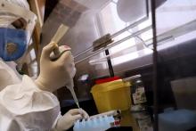 اعلام آمادگی ۱۰ هزار نفر برای انجام آزمایش واکسن ایرانی کرونا