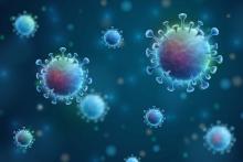 ویروس کرونا