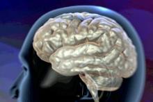 اپلیکیشنی برای مقابله با بیماری زوال عقل