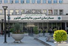 امور مالیاتی