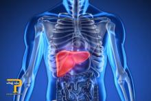 ۱۵ دستورالعمل ساده طب سنتی برای درمان کبد چرب