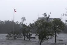 طوفان شاهین