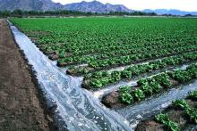 ایجاد سامانه برای آگاهی از مصرف و هزینه آب در برنامه هفتم توسعه