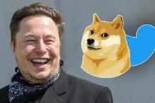 تغییر لوگوی توییتر یک شوخی احمقانه‌ است 