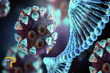 جهش مفید در کرونا، آیا ویروس دارد خودکشی می‌کند؟