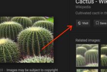 حذف دکمه‌ی نمایش تصویر گوگل