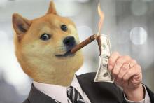 جابجایی توکن‌های شیبا توسط سرمایه‌گذار معروف؛ نگرانی از ادامه‌ی روند کاهشی قیمت!