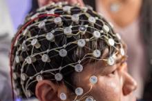 در آینده‌ای نزدیک مغز انسان به اینترنت متصل می‌شود!