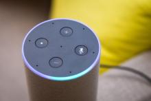 دستگیری دزدان خانه توسط بلندگوی هوشمند!