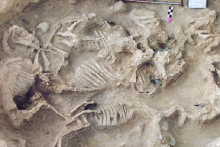 کشف اجسادی عجیب کنار سطل‌های چوبی در اوکراین