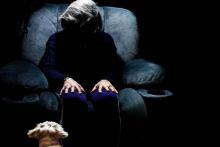 زنی چینی تمام ثروت خود را برای سگ و گربه‌هایش به ارث گذاشت