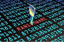 مجرمان سایبری "کاسیا" ۲۰ میلیون دلار تخفیف دادند