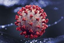 افزایش پنج برابری حملات هکری به سازمان جهانی بهداشت