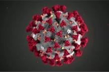 موسسان اینستاگرام کرونا را ردیابی می‌کنند