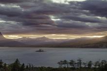 عکسی که گوشی‌های اندروید را از کار می‌اندازد!