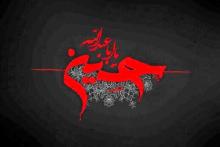 حسینیه مجازی دانشگاهیان راه&zwnj;اندازی شد