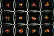 تیم تحقیقاتی پژوهشگر ایرانی موفق به شناسایی سلول‌های عامل کبد چرب شدند