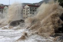 اپل به آسیب دیدگان طوفان فلورانس کمک کرد