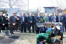 مراسم کاشت بیش از ۱۵۰۰ اصله نهال به مناسبت چهلمین سالگرد انقلاب اسلامی توسط شرکت مخابرات ایران در سراسر کشور برگزار شد