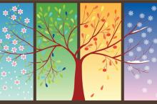 چه ارتباطی میان تغییر فصل و ریزش مو وجود دارد؟&lrm;