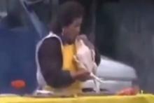 ویدئو/ کلک جدید مرغ&zwnj;فروشان برای سرکیسه کردن مشتریان!