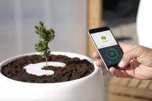 اپلیکیشنی که خاطرات مردگان را به گیاه تبدیل می‌کند!