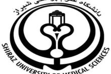 راه‌اندازی دانشکده مجازی در دانشگاه علوم پزشکی شیراز