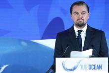 اهدای 6 میلیون دلار به گوگل توسط دی کاپریو