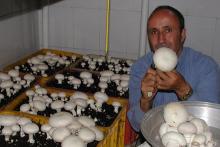 با این شغل‌ها، در خانه بشینید و پولدار شوید!