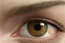 علاقه جدید و عجیب میلیونرهای تهرانی